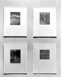 Installation photo, 20 of 48