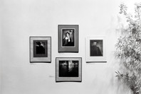 Steichen the Photographer. Mar 28–May 30, 1961.