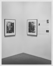 Installation photo, 4 of 7