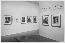 Installation photo, 6 of 7