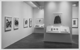 Installation photo, 14 of 23