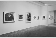 More than One Photography: Works since 1980 from the Collection. May 14–Aug 9, 1992. 1 other work identified