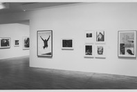 More than One Photography: Works since 1980 from the Collection. May 14–Aug 9, 1992. 1 other work identified
