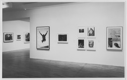 Installation photo, 6 of 16