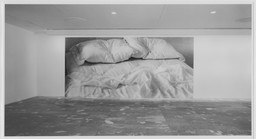 Installation photo, 1 of 32
