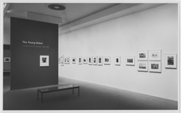Installation photo, 1 of 7