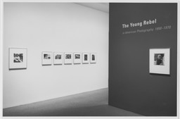 Installation photo, 6 of 7