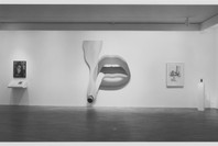 Selections From The Collection (1992). Sep 9, 1992–Feb 21, 1993.