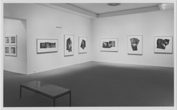 Installation photo, 17 of 19