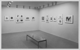 Installation photo, 17 of 33