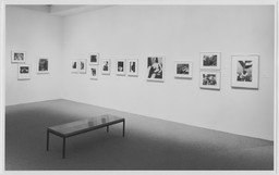 Installation photo, 20 of 33
