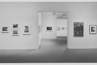 Recent Acquisitions: Photography. Feb 4–Apr 6, 1993. 1 other work identified