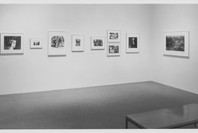 Recent Acquisitions: Photography. Feb 4–Apr 6, 1993. 4 other works identified