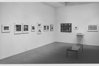 Recent Acquisitions: Photography. Feb 4–Apr 6, 1993. 1 other work identified
