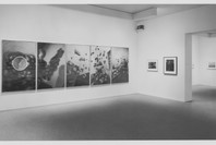 Recent Acquisitions: Photography. Feb 4–Apr 6, 1993.