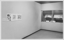 Installation photo, 8 of 17