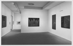Installation photo, 2 of 19