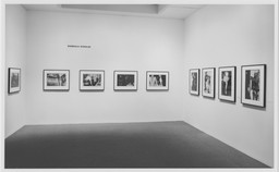 Installation photo, 3 of 19