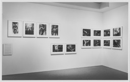 Installation photo, 11 of 19