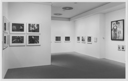 Installation photo, 12 of 19