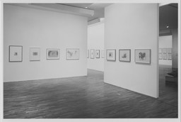 Installation photo, 9 of 25