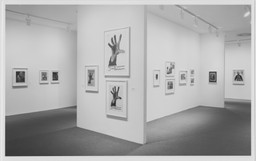 Installation photo, 7 of 17