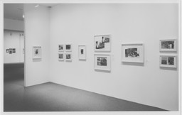 Installation photo, 9 of 17