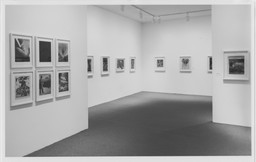 Installation photo, 14 of 17