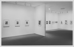 Installation photo, 17 of 17