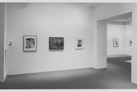 Selections from the Collection (1993). Mar 15–Jul 6, 1993. 1 other work identified