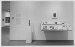 Installation photo, 32 of 43