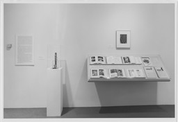 Installation photo, 33 of 43
