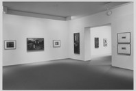 Selections from the Permanent Collection of Painting and Sculpture. Jul 1, 1993.
