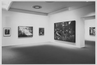 Selections from the Permanent Collection of Painting and Sculpture. Jul 1, 1993. 3 other works identified