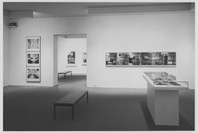 Multiple Images: Photographs Since 1965 from the Collection. Jul 15–Oct 5, 1993.