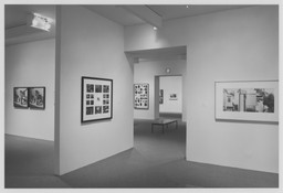 Multiple Images: Photographs Since 1965 from the Collection. Jul 15–Oct 5, 1993. 1 other work identified