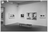 Multiple Images: Photographs Since 1965 from the Collection. Jul 15–Oct 5, 1993. 1 other work identified
