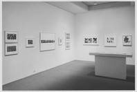 Multiple Images: Photographs Since 1965 from the Collection. Jul 15–Oct 5, 1993.