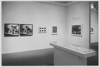 Multiple Images: Photographs Since 1965 from the Collection. Jul 15–Oct 5, 1993.