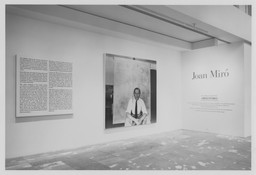Installation photo, 1 of 88