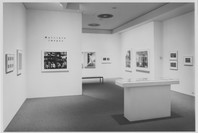 Multiple Images: Photographs Since 1965 from the Collection. Jul 15–Oct 5, 1993.