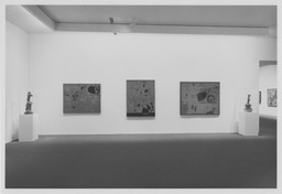 Installation photo, 76 of 88