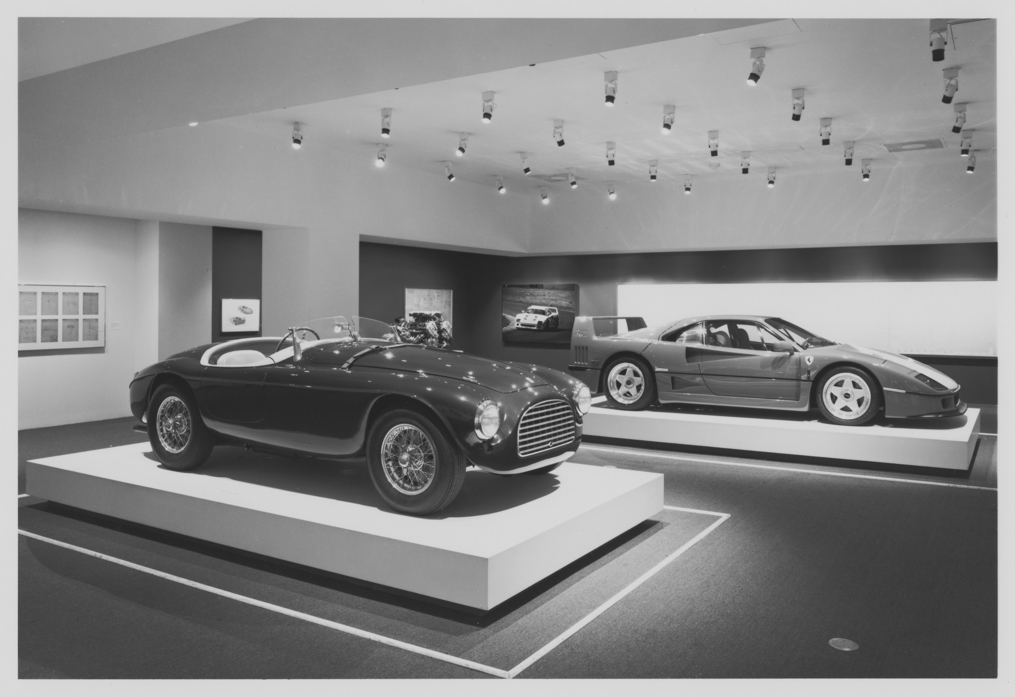 La mostra