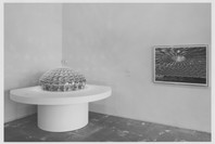 Projects 45: Chuck Hoberman. Feb 24–Apr 12, 1994.