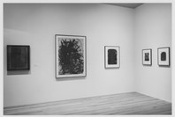 Modern Drawing Part II: A Selection from the Collection 1959–1991. Feb 24–Jun 14, 1994.