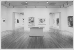 Installation photo, 9 of 13