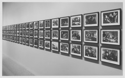 Installation photo, 6 of 7