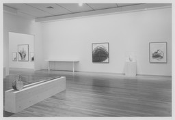 Installation photo, 29 of 37