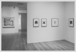 Installation photo, 5 of 14
