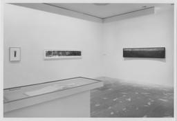 The Long View: Works from the Collection. Sep 8–Oct 25, 1994. 
